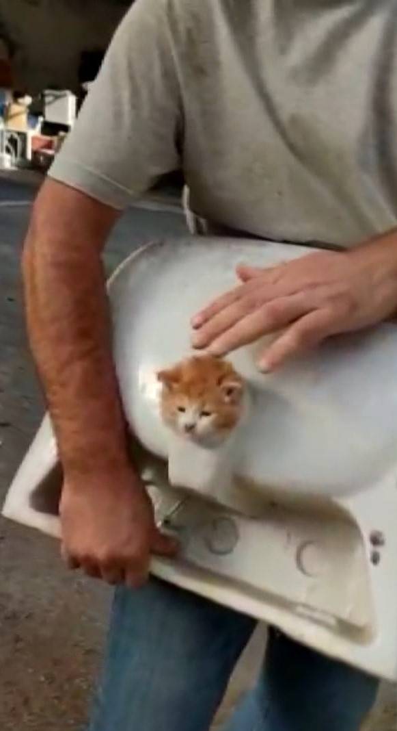 Lavabo deliğine sıkıştı: İnşaat işçileri kurtardı 1